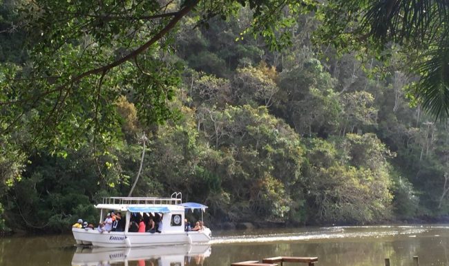 Areena Riverside Resort